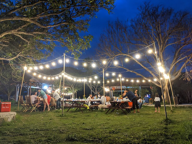 [Bật Mí 10+ TIP] Du Lịch Đồng Cừu Suối Tiên 2025!