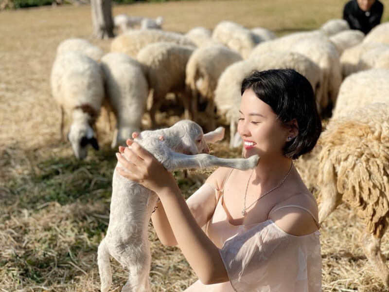 [Bật Mí 10+ TIP] Du Lịch Đồng Cừu Suối Tiên 2025!