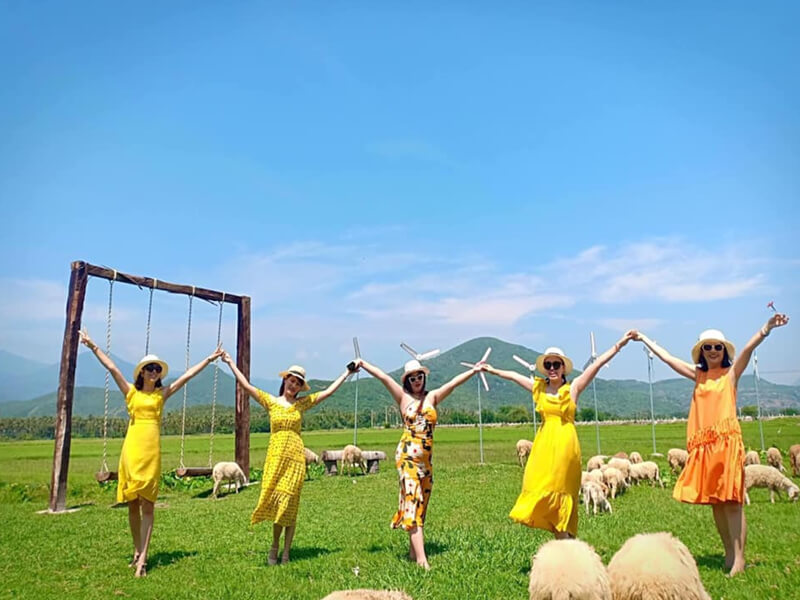 [Bật Mí 10+ TIP] Du Lịch Đồng Cừu Suối Tiên 2025!