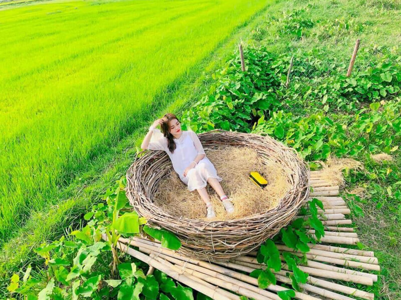 [Bật Mí 10+ TIP] Du Lịch Đồng Cừu Suối Tiên 2025!