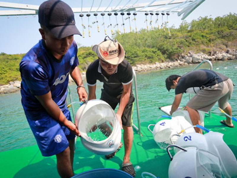 Đi Bộ Dưới Biển Nha Trang - Trải Nghiệm Tuyệt Vời!