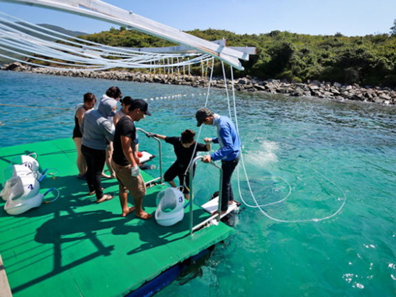 Đi Bộ Dưới Biển Nha Trang - Trải Nghiệm Tuyệt Vời!