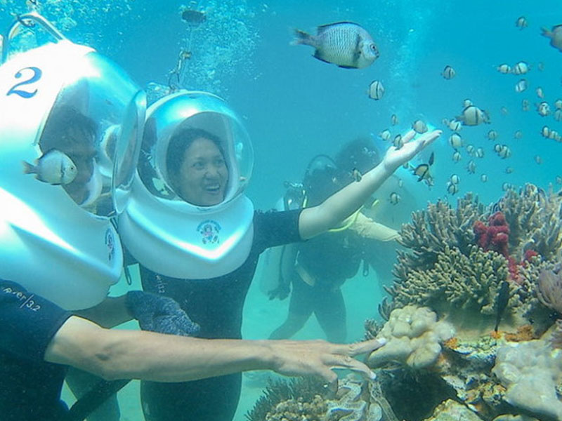 Đi Bộ Dưới Biển Nha Trang - Trải Nghiệm Tuyệt Vời!