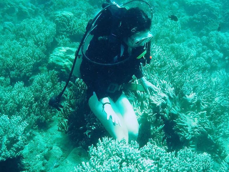 Lặn Biển Nha Trang - Khám Phá Đại Dương Thu Nhỏ!