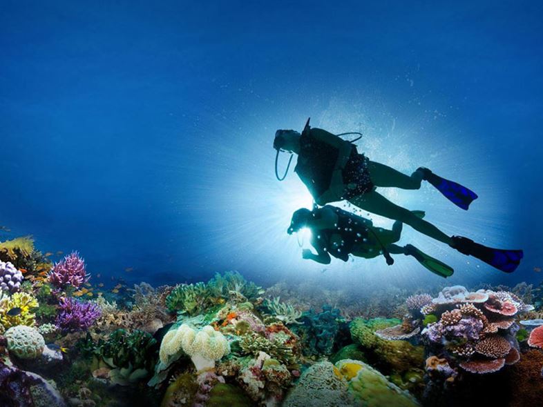 Lặn Biển Nha Trang - Khám Phá Đại Dương Thu Nhỏ!