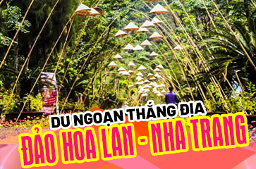 [TOP 10+ Kinh Nghiệm] Đi Đảo Hoa Lan Nha Trang【MỚI 2025】