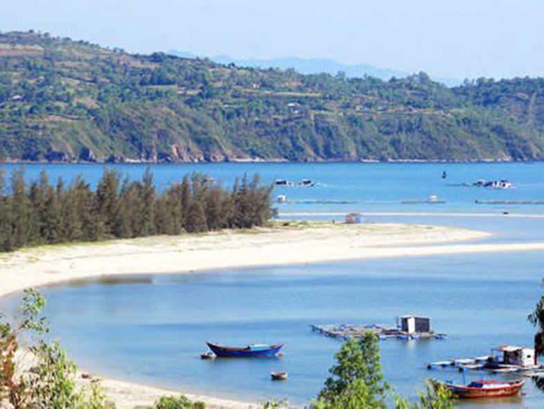 Khám Phá Vẻ Đẹp Đầm Môn Mũi Đôi Cực Đông Tổ Quốc Mới 2024