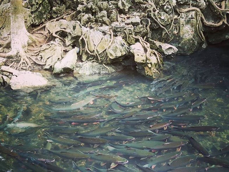 Tham Quan & Khám Phá Tại Suối Ba Hồ Nha Trang