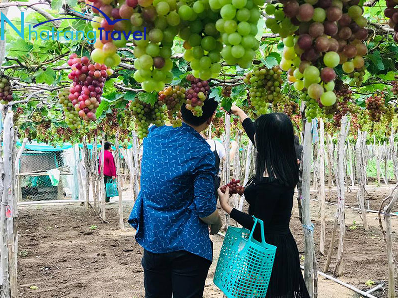 Hang Rái Nha Trang - Tuyệt Tác Hoàn Mỹ Số 1!