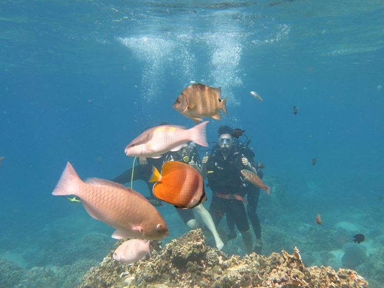 Scuba Diving Nha Trang - "Lặn Biển Ngắm San" Hô Tuyệt Đẹp!