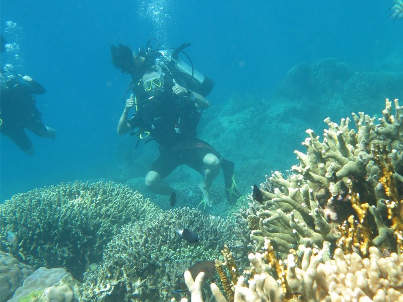 Scuba Diving Nha Trang - "Lặn Biển Ngắm San" Hô Tuyệt Đẹp!