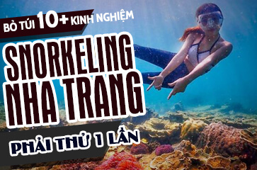 Snorkeling Nha Trang - [Nên Thử 1 Lần] Khi Đến Nha Trang