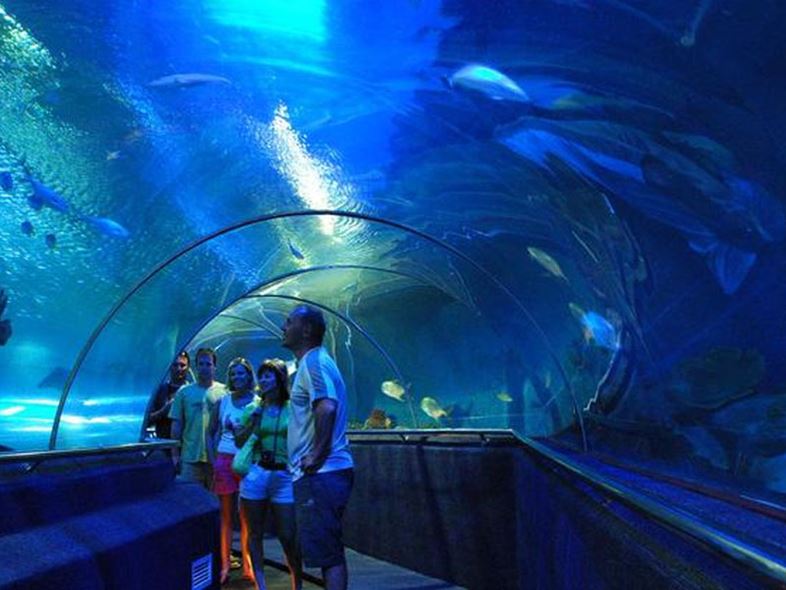 Thủy Cung Trí Nguyên - TOP Điểm Tham Quan Hấp Dẫn!