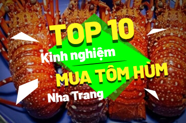 [TOP 10+] Kinh Nghiệm Mua Tôm Hùm Nha Trang Dành Cho Bạn!