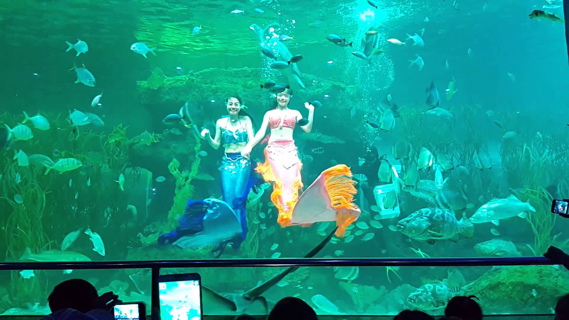 [TOP 20+] Kinh Nghiệm Du Lịch Vinpearl Nha Trang 2025!