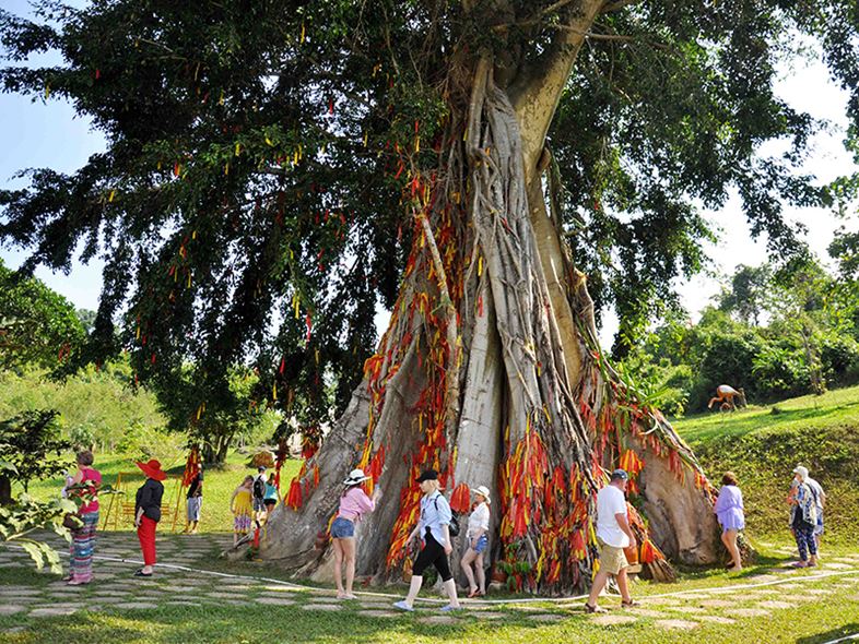 Khu Du Lịch Thác Yang Bay Nha Trang - TOP Điểm Đến Lý Tưởng!