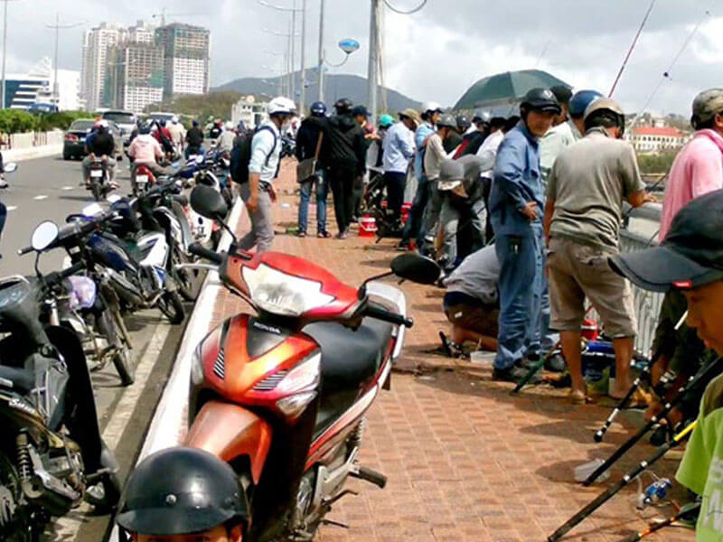 [Tổng Hợp] Review Cầu Trần Phú Nha Trang