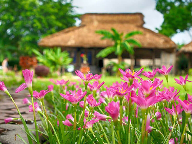 Tham Quan & Khám Phá Memento Nha Trang