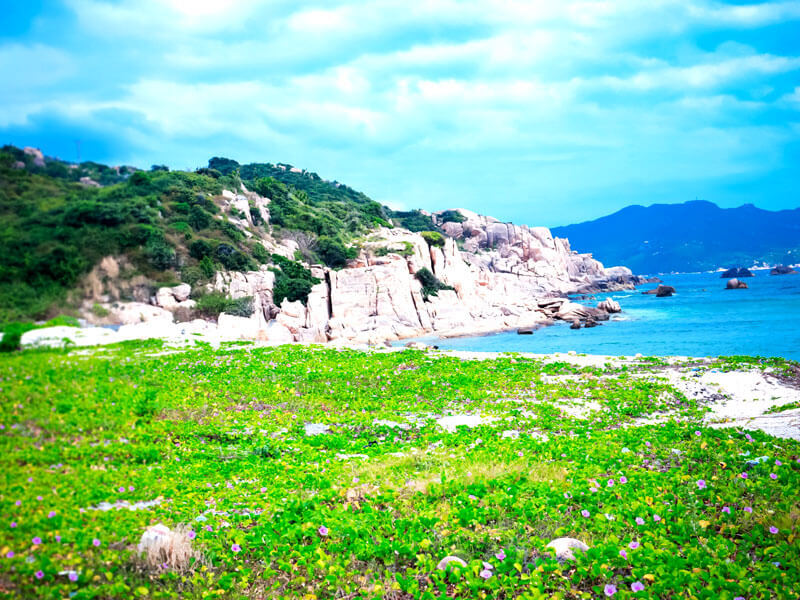 Bãi Chướng - TOP Điểm Đến Lý Tưởng Bình Ba!