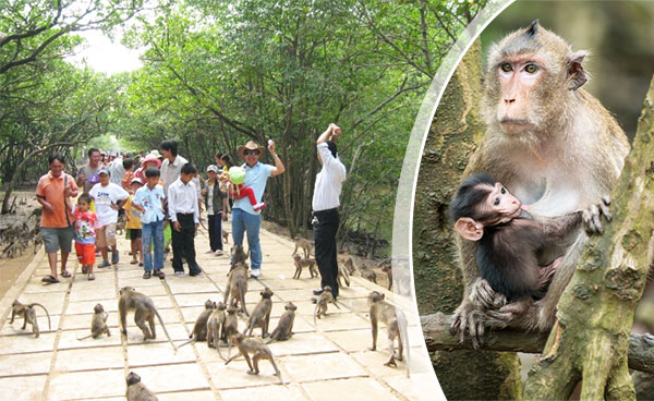 [TOP 10+] Kinh Nghiệm Du lịch Nha Trang Tháng 3/2025