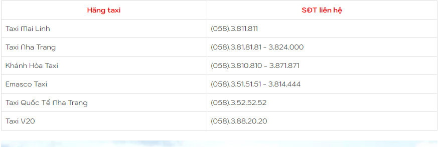 [TOP 10+] Kinh Nghiệm Thuê Xe Đưa Đón Sân Bay Cam Ranh 2025!