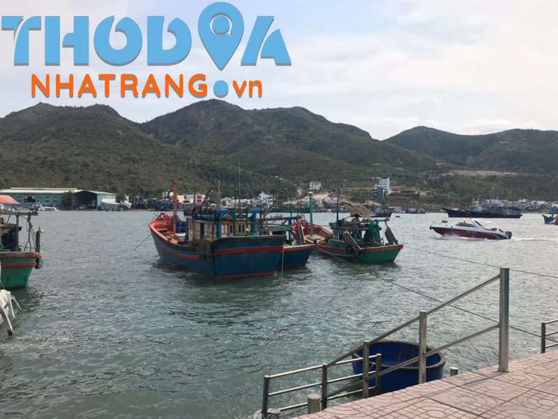 [Bật Mí TOP 10+] Thông Tin Bến Tàu Du Lịch Nha Trang [MỚI 2025]