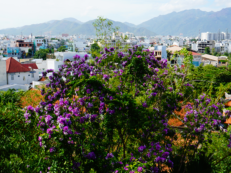 Chùa Long Sơn - "Ngôi Chùa Số 1" Nha Trang Bạn Cần Khám Phá!