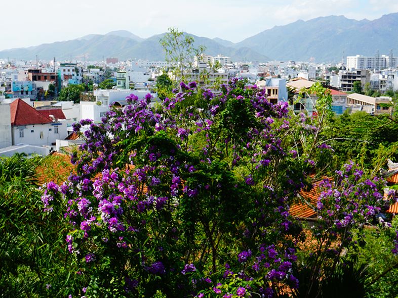 Chùa Long Sơn - "Ngôi Chùa Số 1" Nha Trang Bạn Cần Khám Phá!