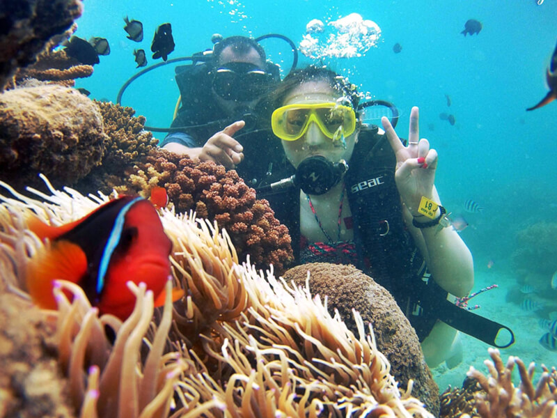 [TOP 10+ Lý Do] Bạn Nên Đi Vịnh San Hô Nha Trang "Ngay Hôm Nay"!