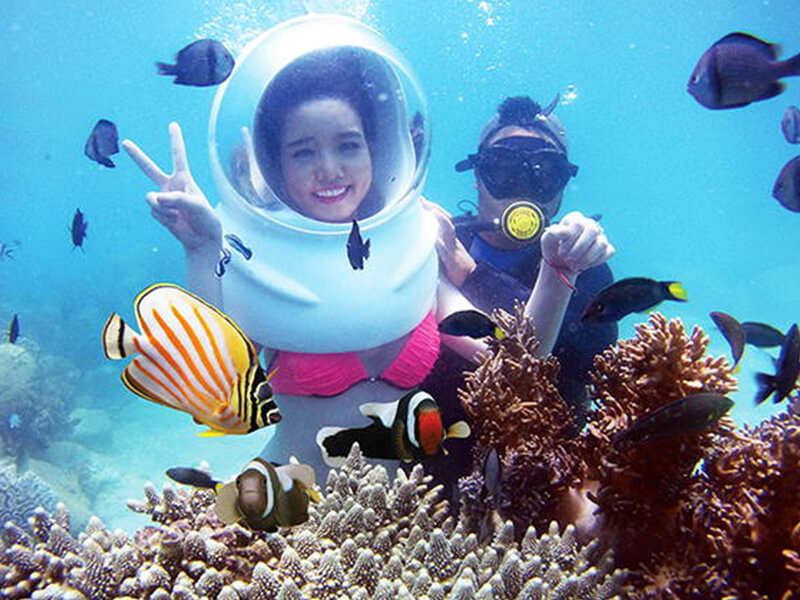 [TOP 10+ Lý Do] Bạn Nên Đi Vịnh San Hô Nha Trang "Ngay Hôm Nay"!