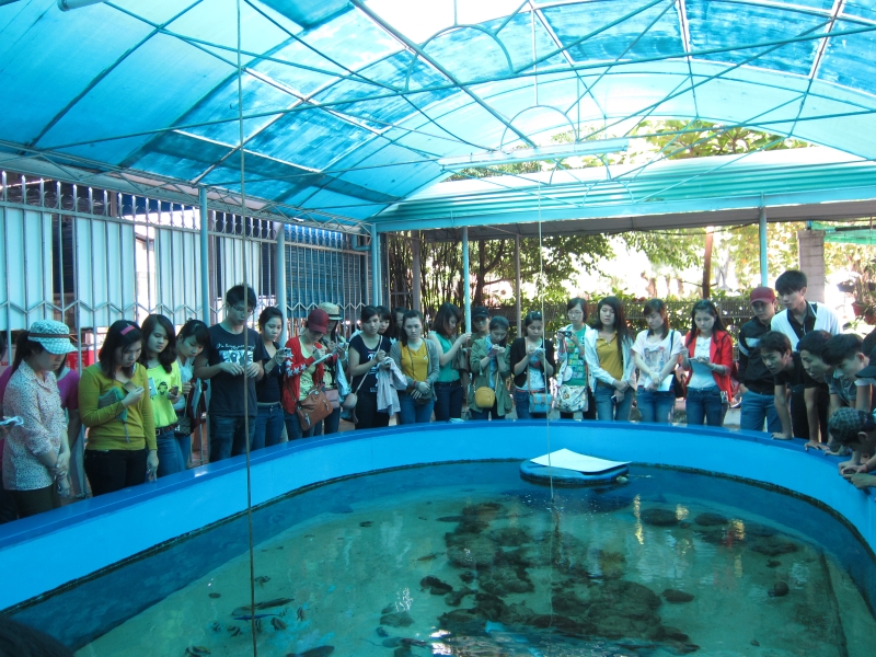 Viện Hải Dương Học - [TOP 10+] Điểm Tham Quan Hấp Dẫn Nha Trang!