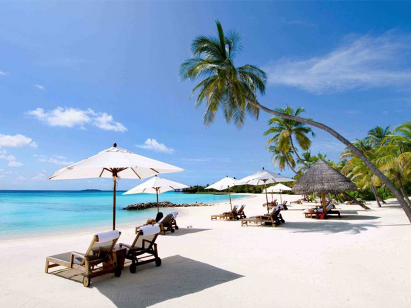 [TOP 10+] Kinh Nghiệm Du Lịch Bãi Dài Nha Trang Mới 2025!