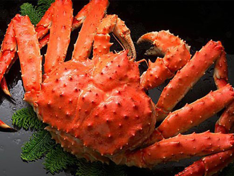 [TOP 10+] Kinh Nghiệm Du Lịch Bãi Dài Nha Trang Mới 2025!