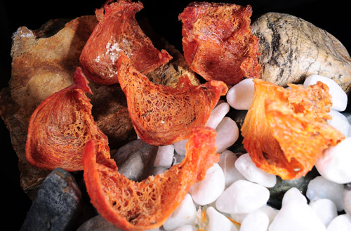 Kinh Nghiệm Du Lịch Nha Trang Tháng 8 [MỚI 2025]