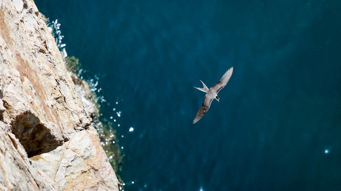 Kinh Nghiệm Du Lịch Nha Trang Tháng 8 [MỚI 2025]