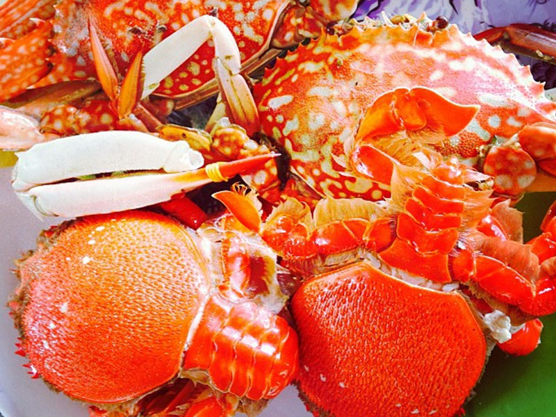 Vịnh Vĩnh Hy - "TOP Vịnh Đẹp Nhất Việt Nam" Chờ Bạn Khám Phá!