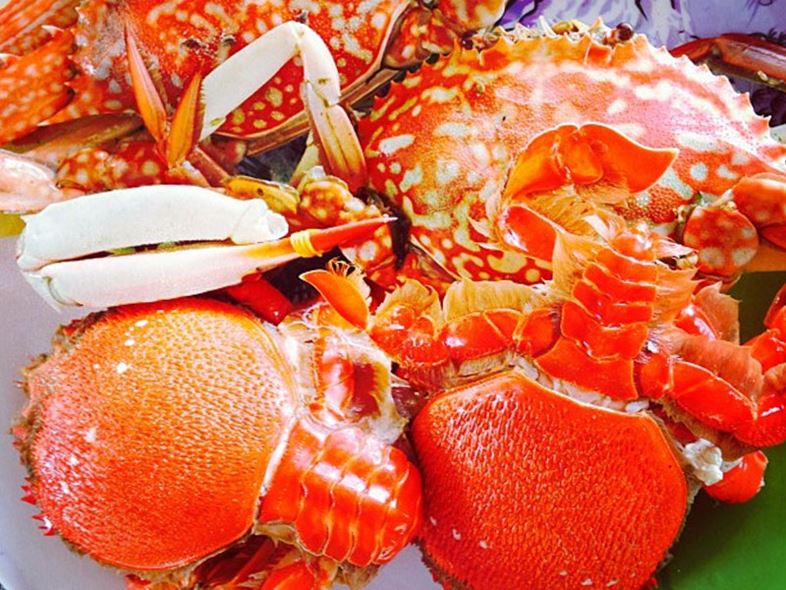 Vịnh Vĩnh Hy - "TOP Vịnh Đẹp Nhất Việt Nam" Chờ Bạn Khám Phá!