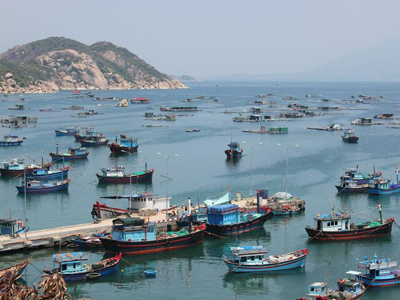 [TOP 10+ Lưu Ý] Cảng Ba Ngòi - Huyết Mạch Du Lịch Bình Ba!