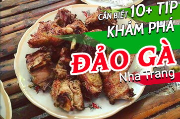 [TOP 10+] Điều Cần Biết Khi Đến Đảo Gà Nha Trang 2025