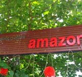 Amazon Coffee & Bar