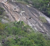 Suối Hoa Lan Nha Trang