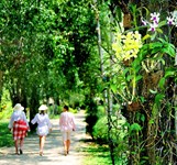 Suối Hoa Lan Nha Trang