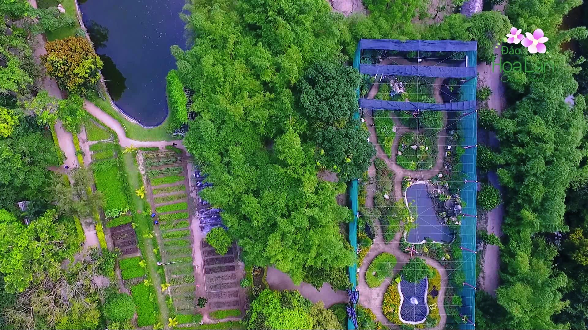 Suối Hoa Lan Nha Trang