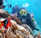 Vịnh San Hô Nha Trang