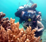 Vịnh San Hô Nha Trang