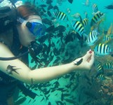 Vịnh San Hô Nha Trang