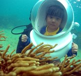 Vịnh San Hô Nha Trang