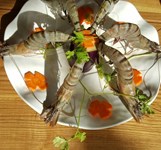 Ohe Quán Nướng Nha Trang