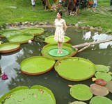 Công Viên Du Lịch Yang Bay.