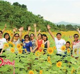 Công Viên Du Lịch Yang Bay.